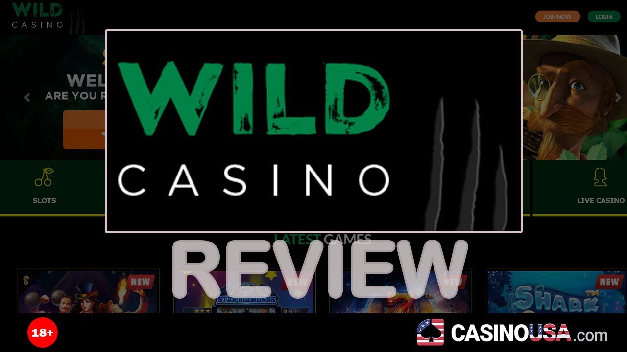 Complete Review of Wild Casino